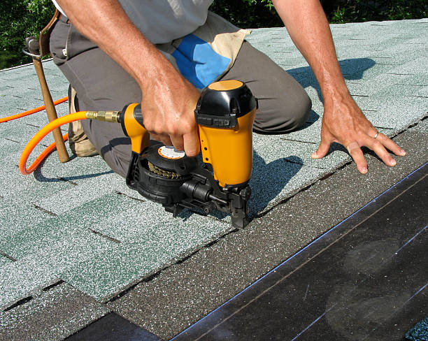 Best Roof Maintenance Services  in Bethel, WA