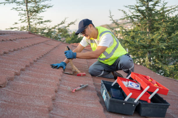 Best Emergency Roof Repair  in Bethel, WA